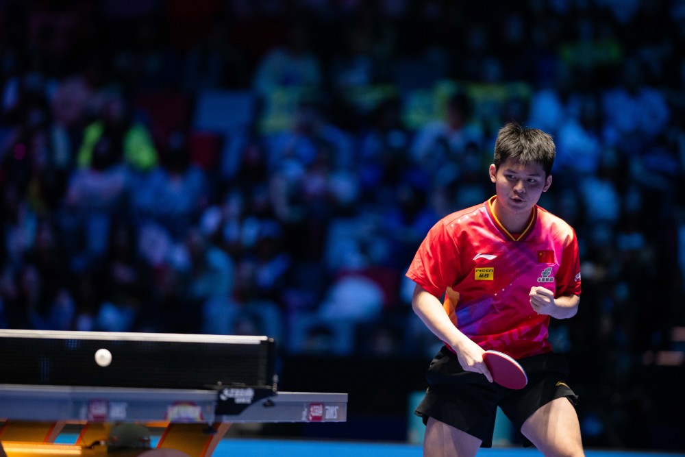 不仅展现了 不仅展现了